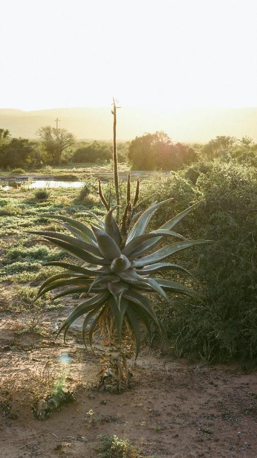 Charihandra Game Lodge *