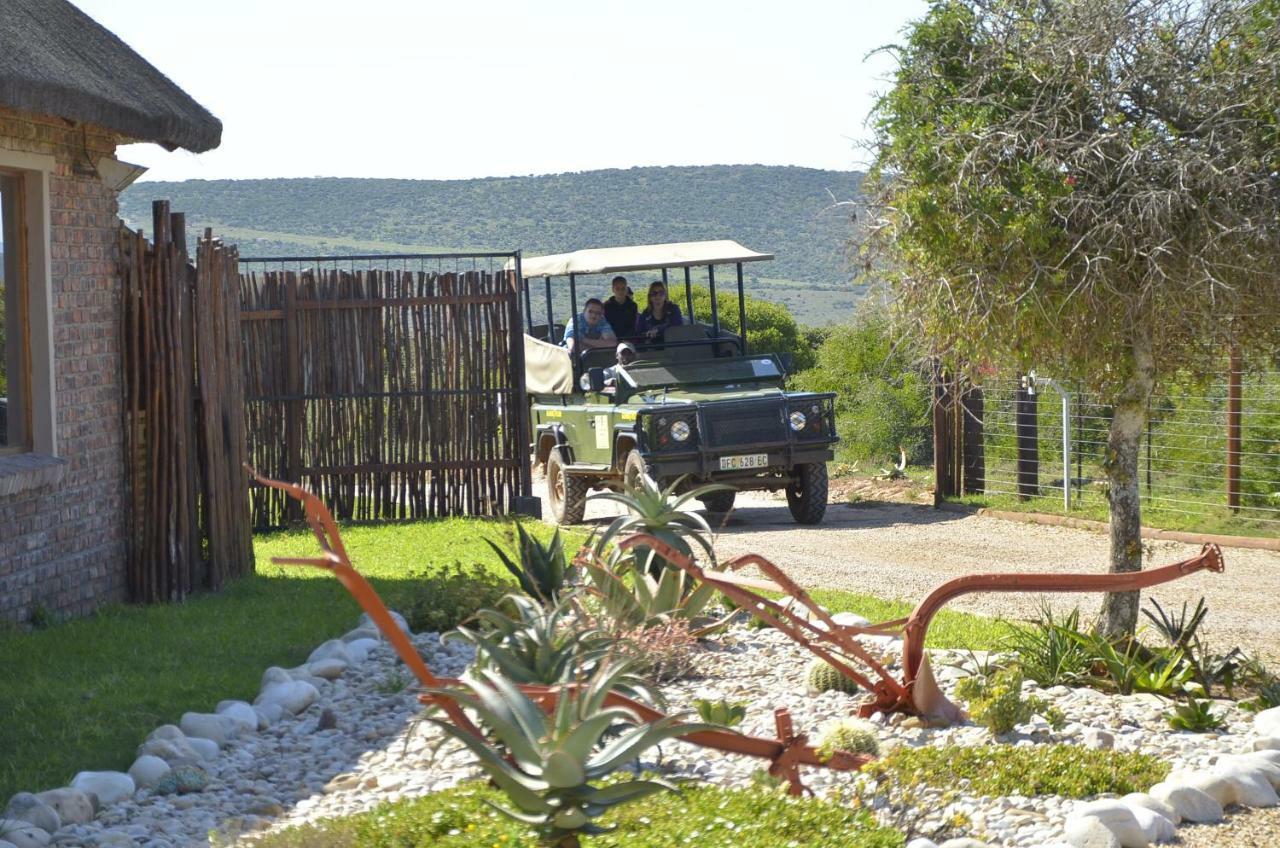 Charihandra Game Lodge Addo